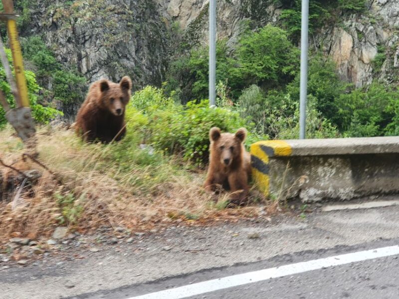 13 Days Private Guided Tour in Romania - Good To Know