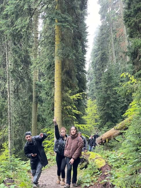 13 km hiking tour from Kutaisi to Borjomi - Who Should Consider This Tour?  