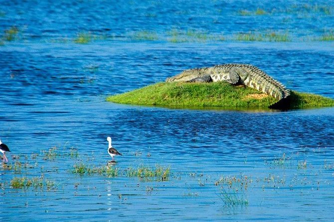 14 Days Sri Lanka Tour - Explore Sri Lanka - Inclusions and Exclusions