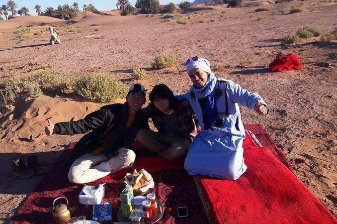 14 Days Tour From Casablanca - Reviews and Traveler Feedback