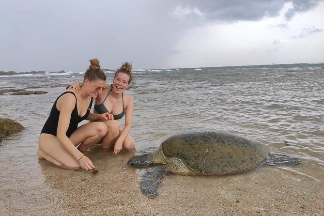 14 Days Tour in Sri Lanka (Hotels With Breakfast & Luxury Car) - Exploring Historic Galle