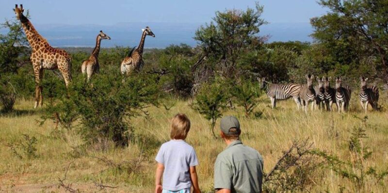 15 Day South Africa Tour - Goes Twice Monthly on 1st & 16th - Hiking in Drakensberg Mountains