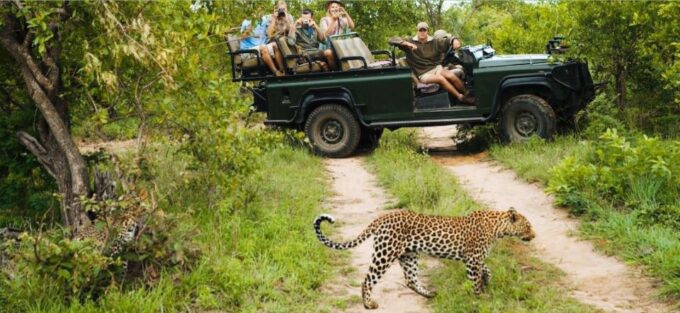 15 Day South Africa Tour - Goes Twice Monthly on 1st & 16th - Accommodation and Meals Details