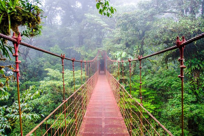 15 Days Beaches and Nature With Santa Teresa From Liberia - Monteverde Cloud Forest Biological Reserve
