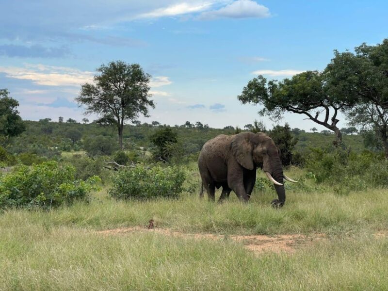 15 Days Johannesburg, Kruger National Park – Cape Town Tour - Exploring Cape Town and the Winelands