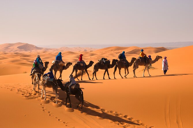 15 Days Morocco Private Grand Tour From North To South Starting From Casablanca - Traveler Testimonials and Tour Highlights