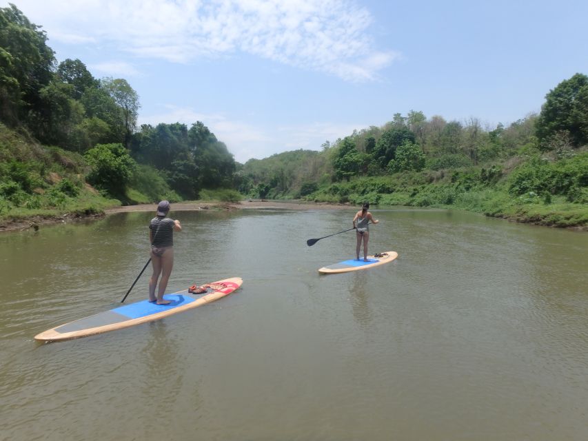 15 Km Stand up Paddle Boarding Down the Ping River Jungle - Pricing and Booking