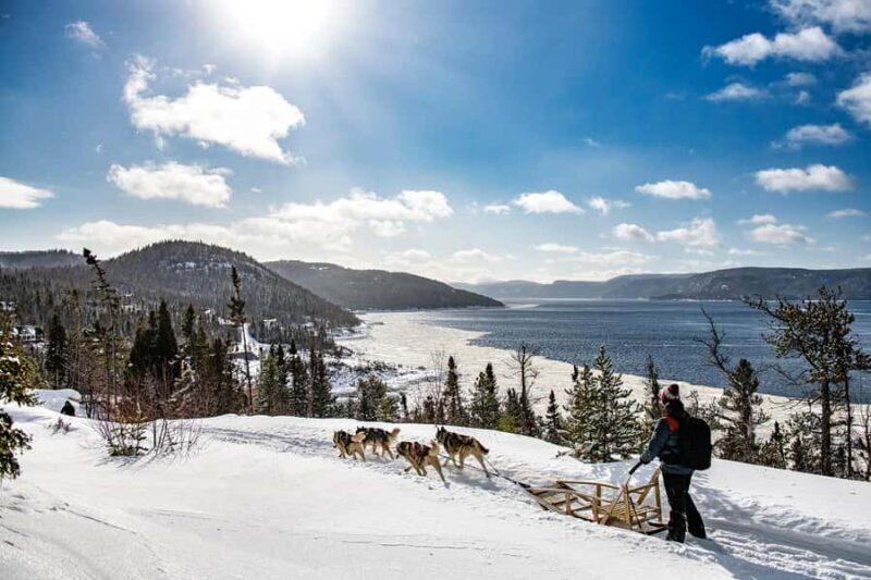 15 min. Tadoussac : Dog Sled Excursion in Saguenay Fjord - Key Points