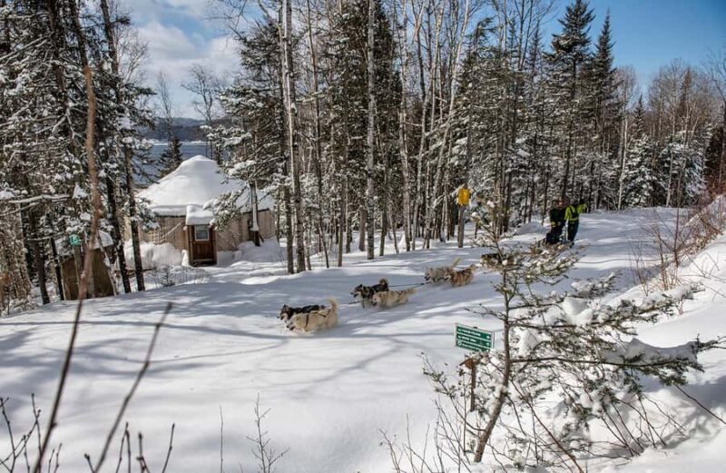 15 min. Tadoussac : Dog Sled Excursion in Saguenay Fjord - Authentic Encounters and Reviews