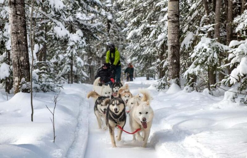 15 min. Tadoussac : Dog Sled Excursion in Saguenay Fjord - In Summary