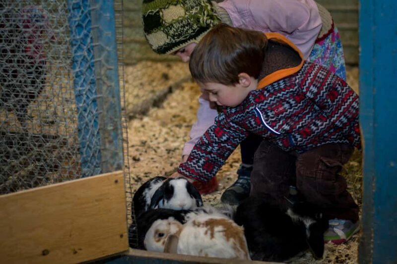 15 min. Tadoussac: Free visit to the animal shelter and farm - FAQ