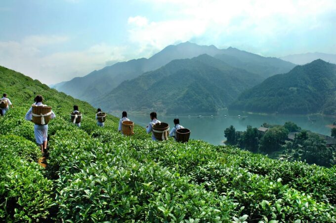 16 Day Tour: Spectakular Treasures Zhangjiajie National Park - Frequently Asked Questions