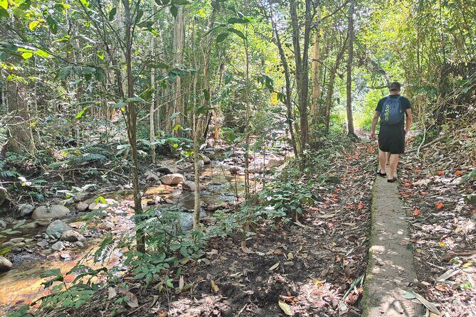 16 Lines Zipline, Cave, Hiking & Biausevu Waterfall Combo Tour - Who Will Love This Tour?
