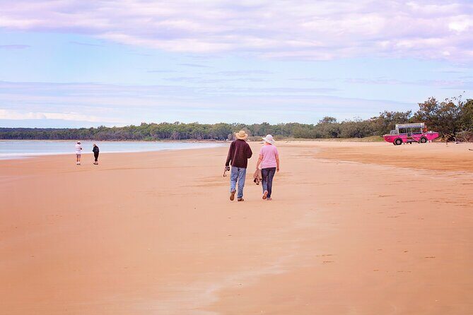1770 Coastline Tour by LARC Amphibious Vehicle Including Picnic Lunch - The Sum Up