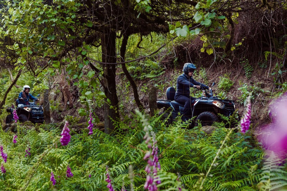 1h Quad Tour  Arcos de Valdevez  Peneda Gerês - Who Should Consider This Tour?