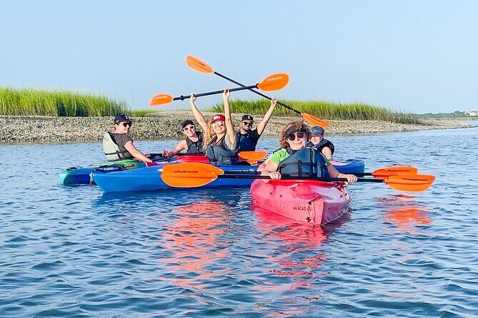 2 1/4 Hour Private Kayak Hilton Head Dolphin Nature Experience - What to Expect from the Hilton Head Dolphin Nature Experience