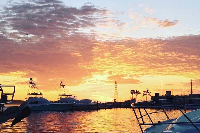 2.10 Hour Sunset Tour on Catamaran in Cabo San Lucas - The Sum Up
