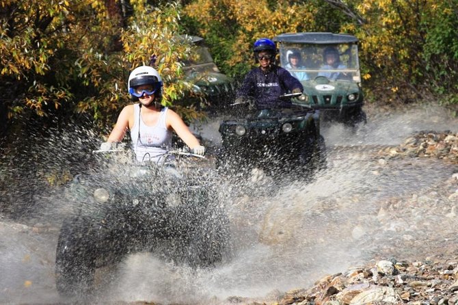 2.5-Hour Denali Wilderness ATV Adventure Tour - Wildlife Spotting