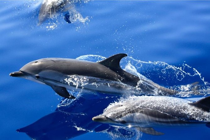 2.5-Hour Lanzarote Sunset Cruise From Marina Puerto Del Carmen - Champagne and Pastry Treats