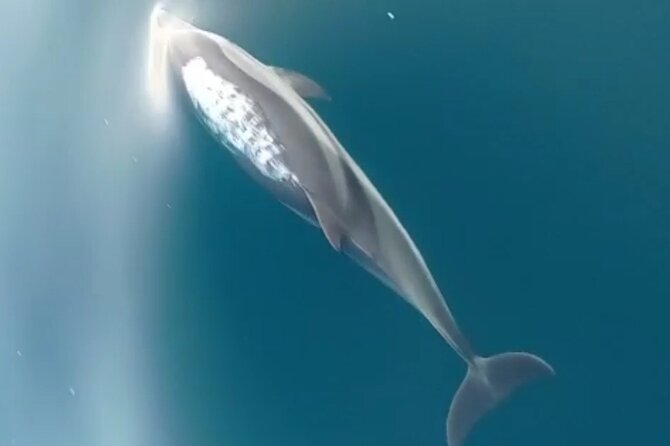 2.5 Hours Sunset Boat Tour With Aperitif - Booking and Cancellation Policy