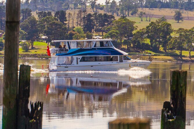 2.50 hour Afternoon Discovery Cruise including Cataract Gorge departing at 3 pm - Who Will Love This Cruise?