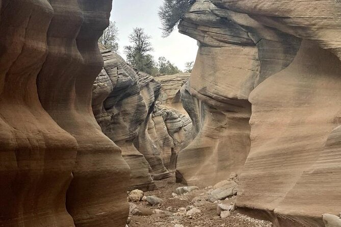 2.5hr Willis Creek/Sunset Tour Paria Valley - Reviews and Ratings