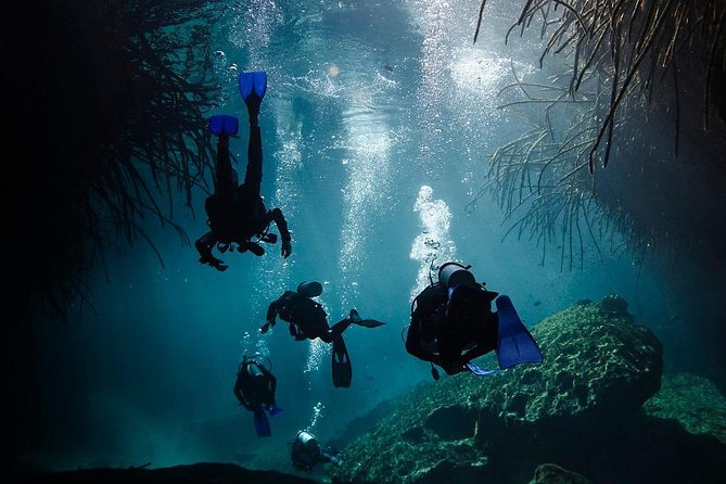 2 Cenote Divings (Including One Deep Diving) for Advanced Divers in Tulum - Magical Underwater Landscapes