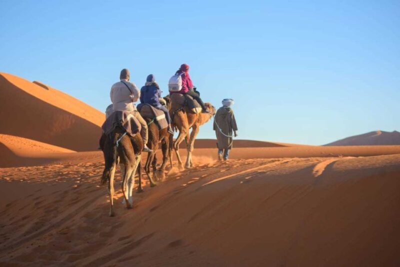 2-Day, 1-Night Desert Trip to Merzouga From Ouarzazate - Customer Reviews and Ratings