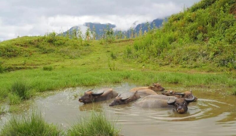 2-Day 1-Night Tour: Explore Sa Pa Villages & Ethnic Culture - Booking and Payment
