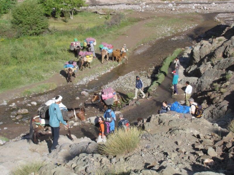 2-Day Atlas Mountains Morocco Trek With Village Stay - Trek Overview and Pricing