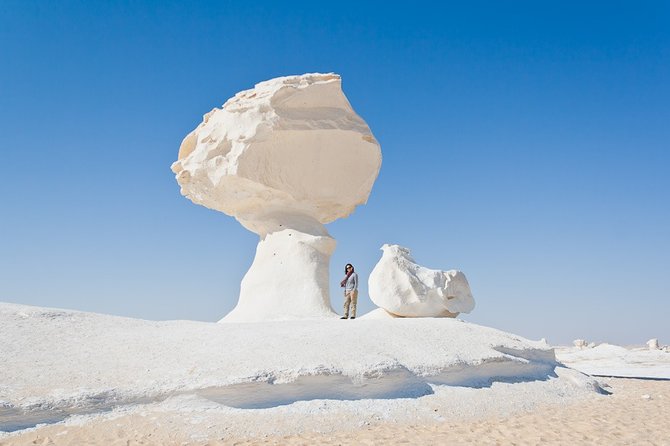 2 Day Bahariya Oasis White Desert Tour - Itinerary Details