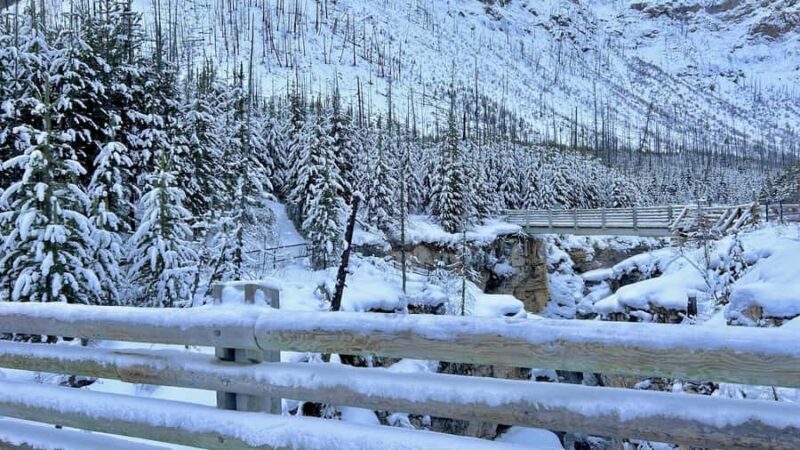 2-Day Banff, Lake Louise & Icefield Parkway Tour - Key Points