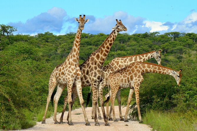 2 Day Budget Safari in Tarangire and Ngorongoro From Arusha - Ngorongoro Crater Adventure