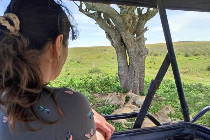 2 Day Camping 4x4 Safari: TARANGIRE & NGORONGORO CRATER - Pickup Location