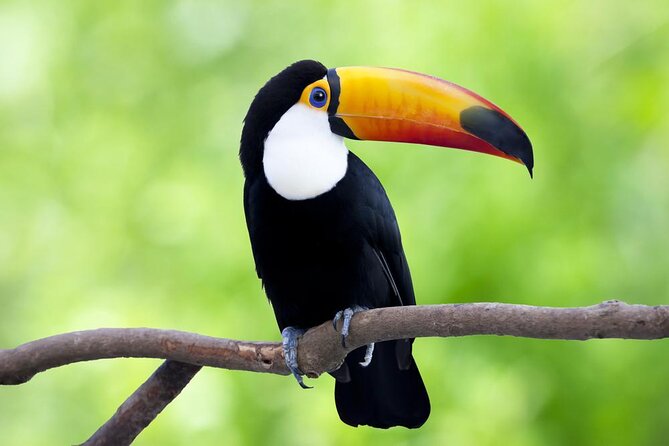 2-Day Camping Tour to Pacaya-Samiria National Park From Iquitos - About Your Stay