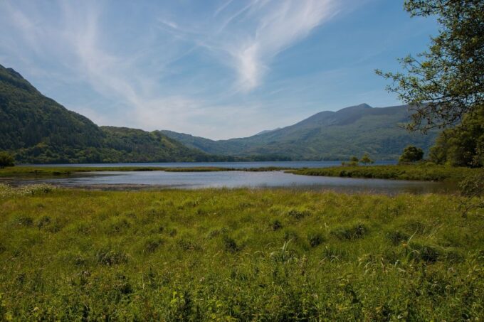 2-Day Cork, Blarney Castle and the Ring of Kerry - Customer Reviews and Ratings
