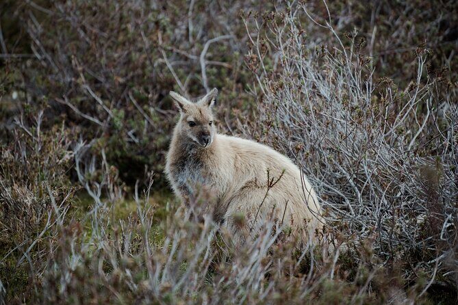 2 day Cradle Mountain and Wineglass Bay - The Itinerary in Detail  