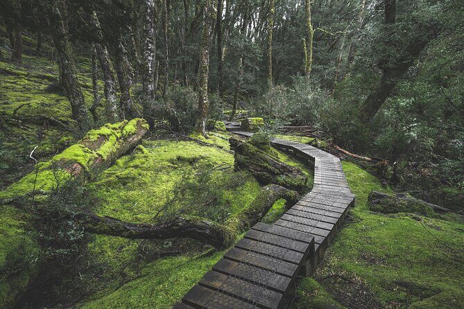 2 day Cradle Mountain and Wineglass Bay - The Sum Up  