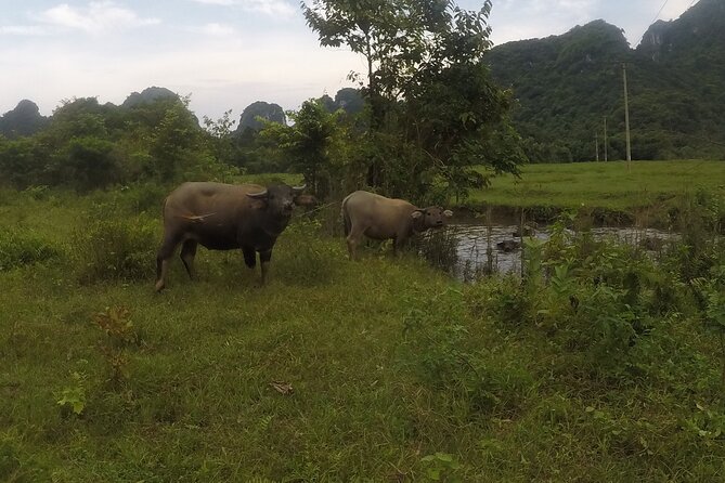 2-Day Cruise to Lan Ha Bay - Ha Long Bay and Viet Hai Village - Pickup and Meeting Details