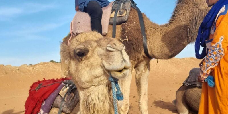 2-Day Desert Adventure Tour From Marrakech - Preparation and Important Information