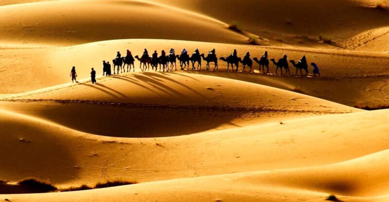 2-Day Desert Tour From Fes - Day 1: Desert Journey and Experiences