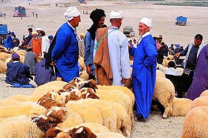 2 Day Desert Tour From Marrakech Through the Atlas Mountains & Camel Ride - Good To Know