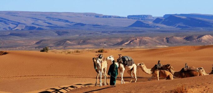 2-Day Desert Tour From Marrakech to Zagora Desert - Frequently Asked Questions