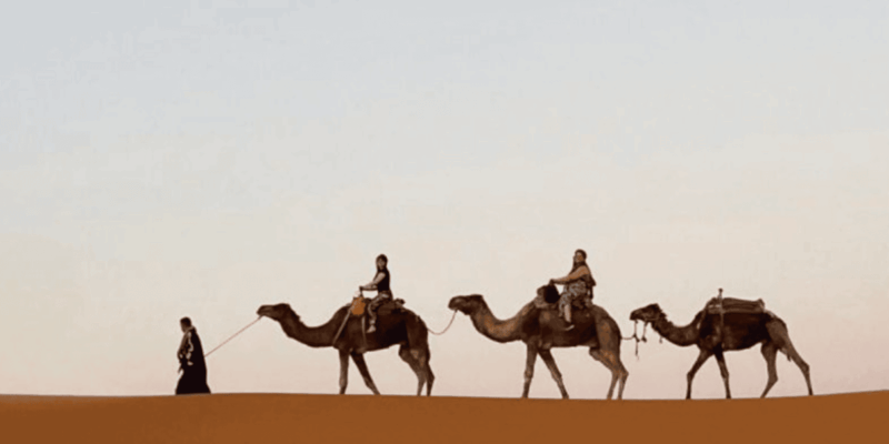 2-Day Desert Tour With Return to Marrakech - Inclusions and Exclusions
