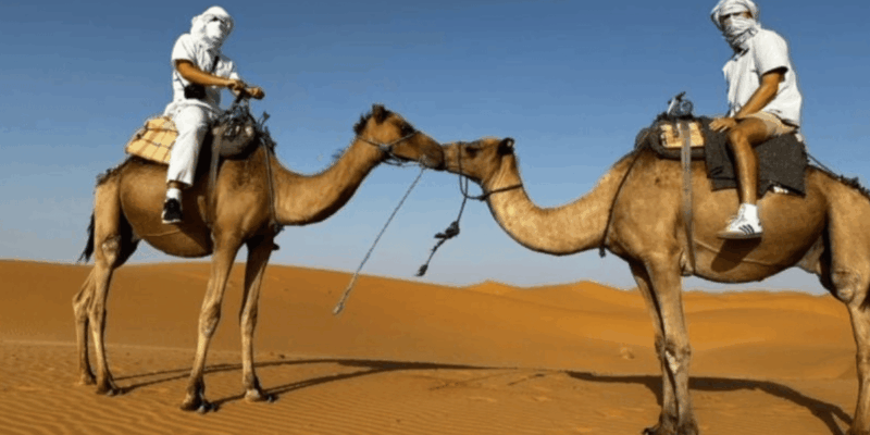 2-Day Desert Tour With Return to Marrakech - Customer Experience