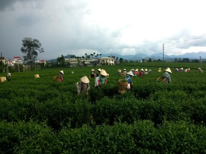 2-Day Easy Rider Da Lat - Bao Loc - Mui Ne or Vice Versa - Customer Feedback