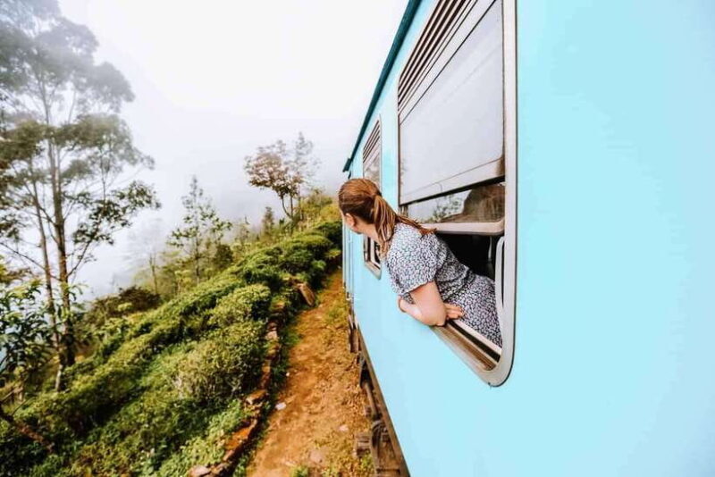 2-Day Ella and Yala Safari: Tour Tour from Colombo - Who Should Consider This Tour?