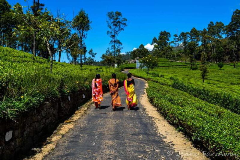 2-Day Ella Tour: Diyaluma Falls Horton Plains & Scenic Train - Key Points