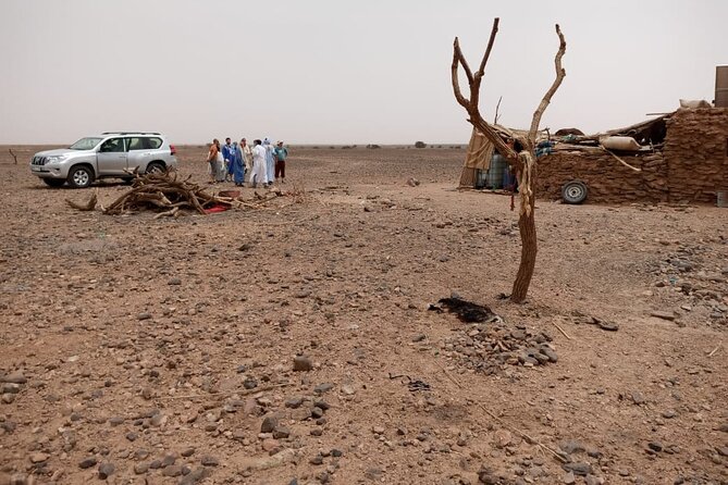 2-Day Erg Chegaga Desert Tour From Mhamid South of Morocco - Booking and Confirmation