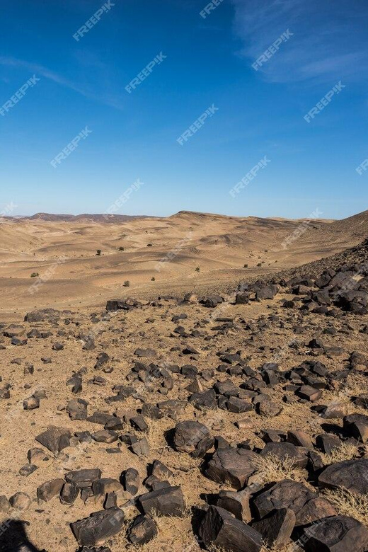 2-Day Excursion to the Zagora Desert - Good To Know